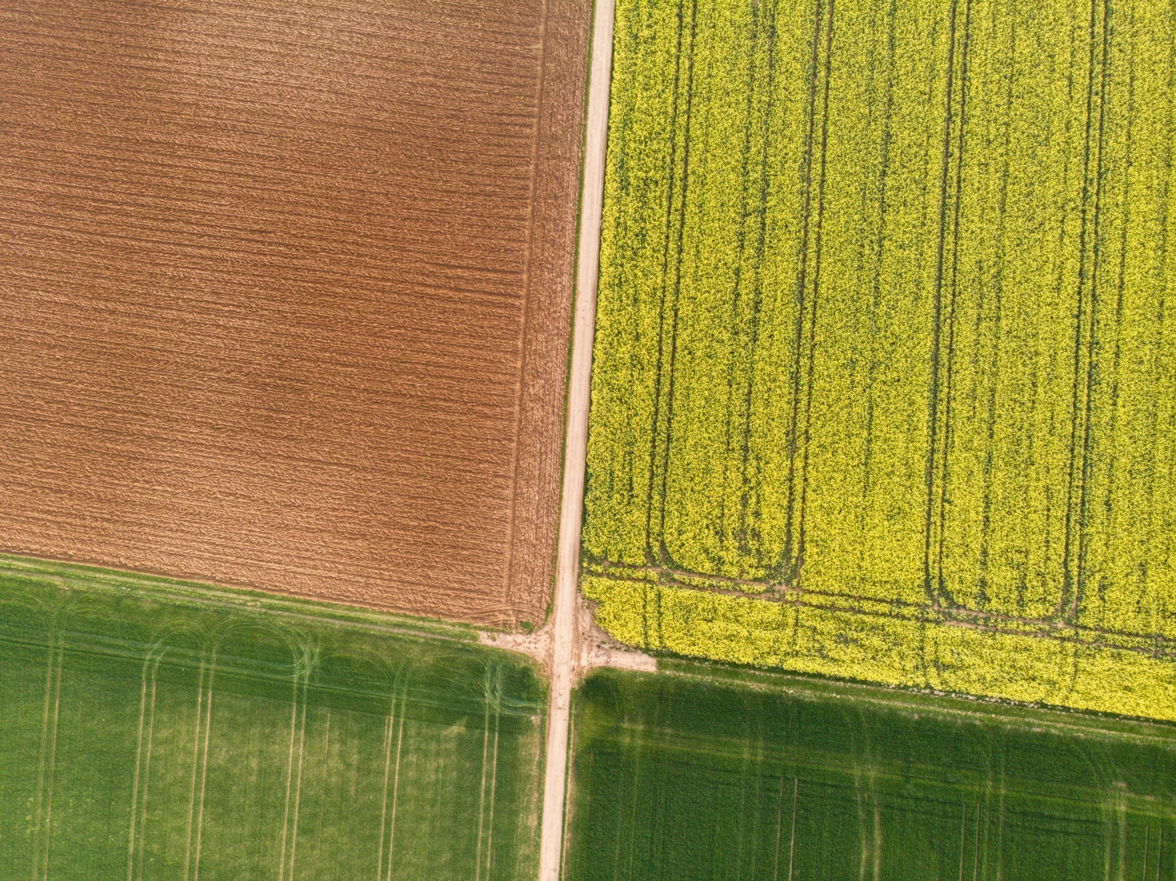 Aerial view of Greek farmland eligible under the Agrifood Development Law scheme